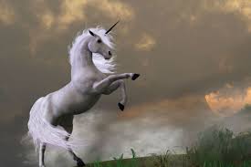 Check spelling or type a new query. Haz Estas 4 Cosas Para Convertirte En El Unicornio De Tu Industria