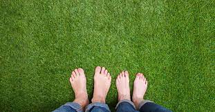 Check spelling or type a new query. Why When And How To Apply Lime To Your Lawn
