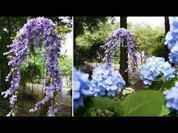 Diy Coffee Filter Wisteria Arch Garden Meditation Paper Flowers Diy Flowers Diy Coffee