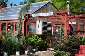 Maybe you would like to learn more about one of these? Hillside Nursery Wichita Nurseries