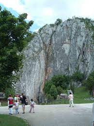Their permanent presence and growing stock can be expected in the future as well. Aggtelek Karst Wikiwand