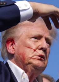 Kristi Corley (@kcorley1313)