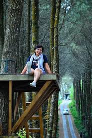 Hutan pinus imogiri terkenal sebagai salah satu lokasi photo hunting yang terbaik di yogyakarta. Hutan Pinus Kragilan Picture Of Top Selfie Pinusan Magelang Tripadvisor