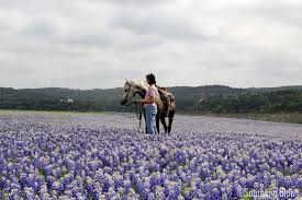 Compare prices & save money on tripadvisor (the world's largest travel website). Muleshoe Bend Recreation Area Spicewood Texas Recreation Area Places To Travel Spicewood