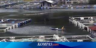 Pesawat itu jatuh ke perairan danau yang keruh, dan sementara tubuh marshall kemudian ditemukan mengambang di permukaan. Kisah Pembudidaya Ikan Di Saguling