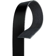 belt v ribbed 3103836