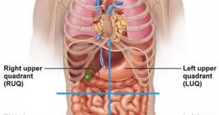 Pin On Medical Health