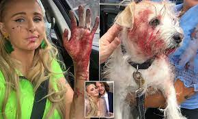 Afl Wag Left With Horrific Injuries After Dog Attack Says She Doesn T Want The Animal Put Down Daily Mail Online