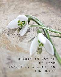 Sweet Dreams Sweet Ladies Will See You Tomorrow Spring Quotes Flowers Lupine Flowers Anthurium Plant