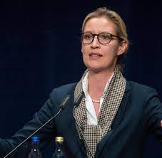Endlich war alice weidel der einladung in markus lanz' show gefolgt. Afd Spitzenkandidatin Alice Weidel Will Veroffentlichung Rassistischer E Mail Stoppen Welt