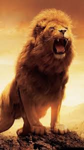 Roaring Lion, animals, nature, wild, HD mobile wallpaper | Peakpx