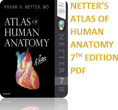 Color atlas of human anatomy, vol. Frank H Netter Atlas Of Human Anatomy 7th Edition Pdf Free Download 2021