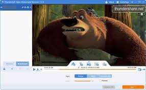 تحميل برنامج ازالة الحقوق من الفيديو Video Watermark Remove Soft Watermark Pandora Screenshot