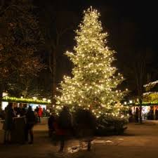 Außergewöhnliche gehölze, englische rosen und kletterpflanzen geben ihrem garten struktur, herbstfärbung und blüten. Christkindlmarkt Am Chinesischen Turm Im Englischen Garten