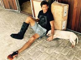 Watch cnn streaming channels featuring anderson cooper, classic larry king interviews, and feature shows covering travel, culture and global news. Jessica Springsteen Barn Life Nic Roldan Facebook