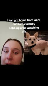 What Does Delgado Call Chloe