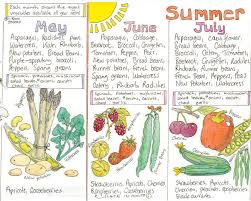 The Natural Store Liz Cook Wall Chart Seasonal Food Chart