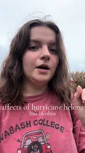 praying for everyone that is being affected #hurricane #helene #storm  #midwest #tree