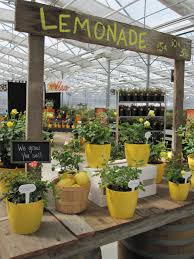 Cute Theme Garden Center Displays Garden Nursery Garden Center Displays Garden Nursery Garden Center