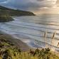 27th New Zealand Molecular Ecology Conference 2025 event image