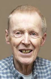 Tree toppled during strong wind