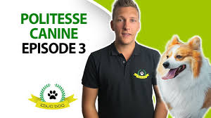 Dire « non » au chien et l'isoler. Comment Calmer Son Chien Quand Il Est Excite Youtube