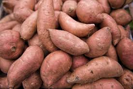 Maybe you would like to learn more about one of these? Sweet Potatoes Planting Growing And Harvesting Sweet Potatoes The Old Farmer S Almanac