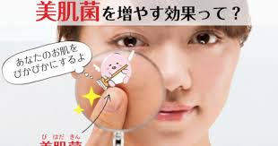 美肌菌に期待できる効果 肌のキメが整い毛穴をケア シミ シワやくすみも予防し透明肌に カラダネ 美肌 スキンケア 肌荒れ ニキビ 美容