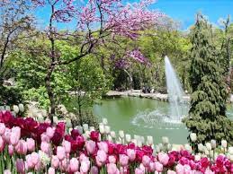 .saat wisata ke turki dibulan april dimana musim di turki adalah awal musim semi di turki. Wisata Ke Turki Menikmati Festival Tulip Di Istanbul Yokoso Eropa