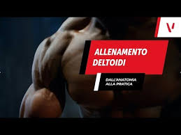 Nessun problema, ci sono diversi esercizi da fare a casa altrettanto efficienti e performanti. Allargare Le Spalle Gli Esercizi Piu Efficaci Project Invictus
