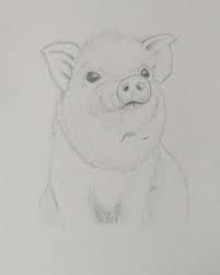 Pin On Best Drawing Idea