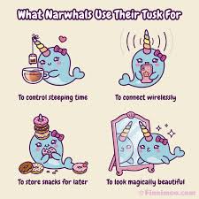 Cute Kawaii Narwhal Cartoon Gif Pictures Funny Comics Cute Comics Cute Stories