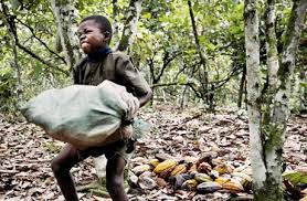 Resultado de imagem para trabalho infantil cacau africa