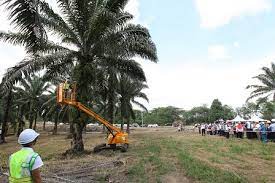 Check spelling or type a new query. Sabit Elektrik E Cutter Boleh Tuai Kelapa Sawit Setinggi 30 Kaki Universiti Putra Malaysia