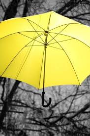 Kombininizle Kontrast Olusturacak Renkteki Bir Semsiye Guarda Chuva Amarelo Respingo De Cor Amarelo