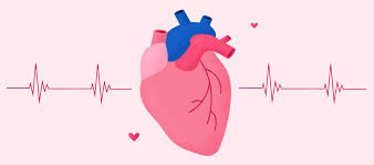 Image result for Heart Rate