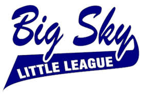 LLWS 2011: How Billings Big Sky's Little League Baseball Team Got Here