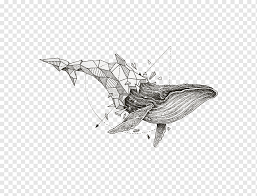 Discover book depository's huge selection of kerby rosanes books online. Whale Illustration Geometry Drawing Sketchy Stories The Sketchbook Art Of Kerby Rosanes Geometric Shape Whale Watercolor Painting Painted Hand Png Pngwing