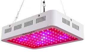 Led Grow Lights For Indoor Plants Grow Lights For Plants Best Led Grow Lights Led Grow Lights