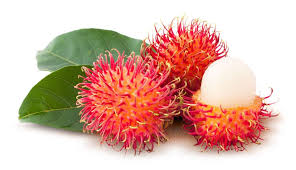 From late spring to midsummer, enjoy their distinct flavor on its own or blended with other tropical fruits into creamy. What Is Rambutan And Is It Good For You