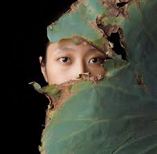 Quand les visages se révèlent paysages