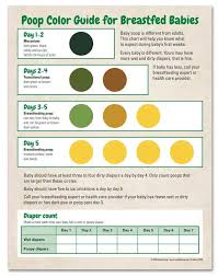 Image result for Newborn Stool Color