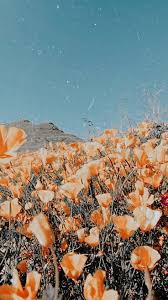Moodboard Inspiration F R Deinen Onlineshop Shopware Yellowaesthetic Material Flowers Flowers Aesthetic Flow 2020 Soyut Fotografcilik Soyut Manzara Resimler