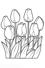 Vorlagen Zum Ausdrucken Ausmalbilder Tulpe Malvorlagen