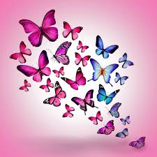 Butterfly background scrapbook butterflies vintage nature paper flowers texture watercolor. Butterfly Ipad Wallpapers Top Free Butterfly Ipad Backgrounds Wallpaperaccess
