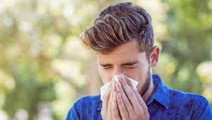 Hay Fever Allergic Rhinitis And Your Asthma National Asthma Council Australia