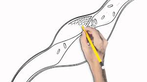 La pression systolique se représente en chiffre élevé, tandis que la diastolique en plus bas. Pourquoi Donne T On La Tension En Deux Nombres