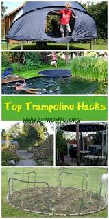 Top Trampoline Hacks To Re Purpose Into Something New For Garden Fun Or Gardening Chicken Run And More Proj Old Trampoline Backyard Trampoline Diy Backyard