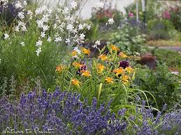 Nicht Hacken Bringt Segen Die 10 Besten Pflanzen Fur Faule Gartner Einen Garten Zu Besitzen Ist Das Eine Ei Pflegeleichte Pflanzen Coole Pflanzen Pflanzen