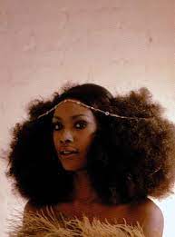 1970s Disco Style Hairdo Natural Hair Styles Hair Evolution Afro Hairstyles